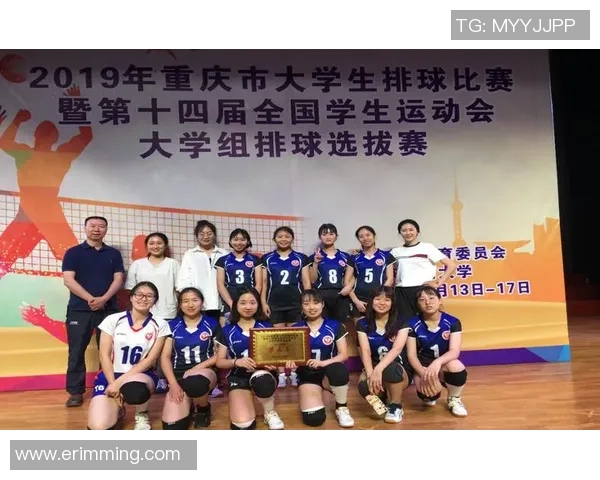 西安排球队个人能力分析与数据表现探讨